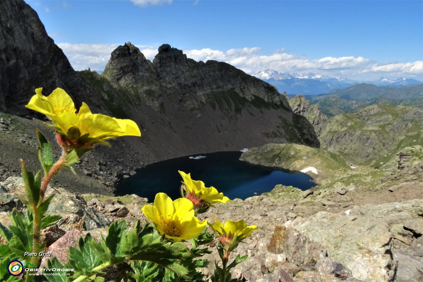 79 Bellissimi fiori gialli di Cariofillata delle pietraie (Geum reptans) per il Lago Rotondo di Trona.JPG